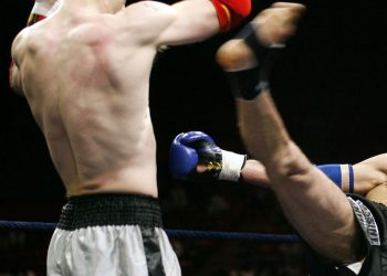 Sparring Bear, une start-up dans la sportech soutenue par la CCI Hérault