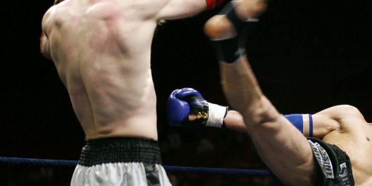 Sparring Bear, une start-up dans la sportech soutenue par la CCI Hérault