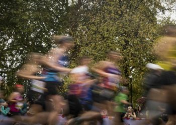 Un marathon 100% vert dans le Marais Poitevin