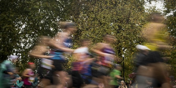Un marathon 100% vert dans le Marais Poitevin