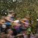 Un marathon 100% vert dans le Marais Poitevin