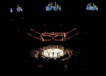 MMA : Ciryl Gane poursuit son ascension