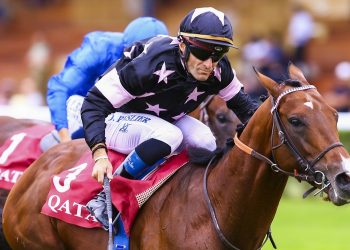 Paris 2024 : Le Haras du Pin, capitale du cheval