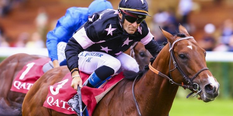 Paris 2024 : Le Haras du Pin, capitale du cheval