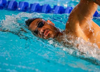 Natation : Quatre nageurs décrochent leur billet pour Tokyo