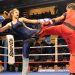 Savate : 2021 sous le signe de la formation
