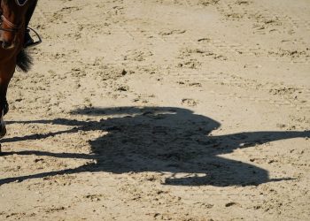 Toute la richesse de l’équitation en région Sud au Ride & Fun