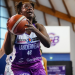 Basket-ball – Coupe de France : les vainqueurs en Coupe d’Europe
