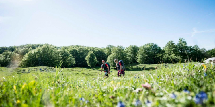 Festival O’Bivwak, la course d’orientation au coeur du Vercors