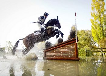 Équitation : Le Jumping de La Baule avec du public