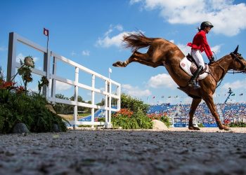 Équitation : Le Jumping de Bourg-en-Bresse va bien avoir lieu