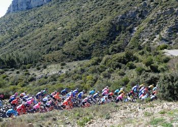 Cyclisme : En Provence, un retour à la compétition qui promet