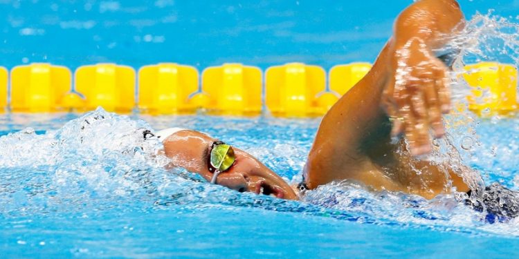 Handisport : Les nageurs français en progrès