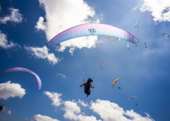 Vol libre : Sacré été pour les Bleus