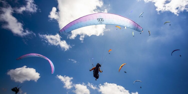 Vol libre : Sacré été pour les Bleus
