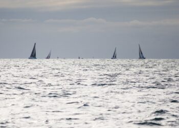 Voile : La Transquadra Madère Martinique prête à s’élancer