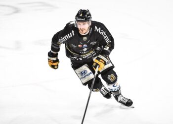 Hockey sur Glace : Les Dragons de Rouen préparent déjà leur reprise de la saison