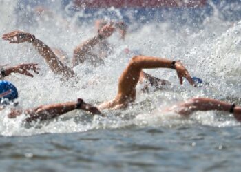 Natation : Une grande première dans la baie d’Ajaccio