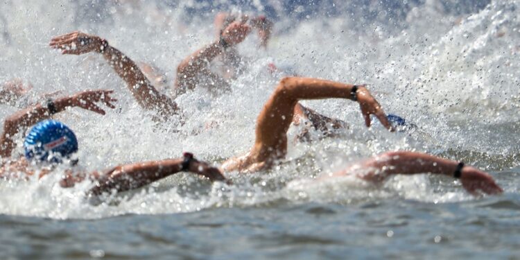 Natation : Une grande première dans la baie d’Ajaccio