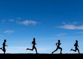 Triathlon : 500 participants attendus à Carnac