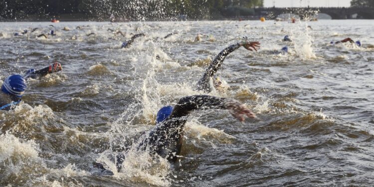 Triathlon : Menant et Bodin triomphent à Château-Gontier
