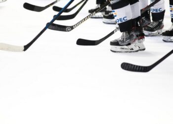 Hockey sur glace : Nouveau départ pour les Albatros de Brest