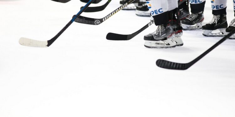 Hockey sur glace : Nouveau départ pour les Albatros de Brest