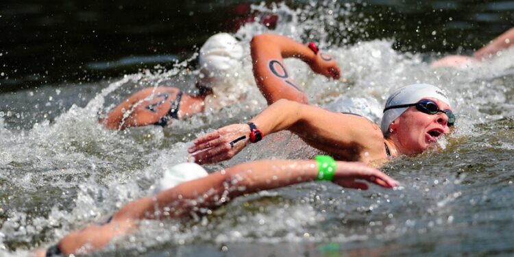 Natation : Elysa Dupont, reine de Bretagne