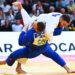 Judo : 14 médailles à Paris pour les Bleus