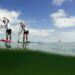 Stand-up-paddle : Puyo et Guyomarch sacrés champions de France longue distance