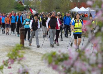 Trail : Une course à travers le zoo de Nantes