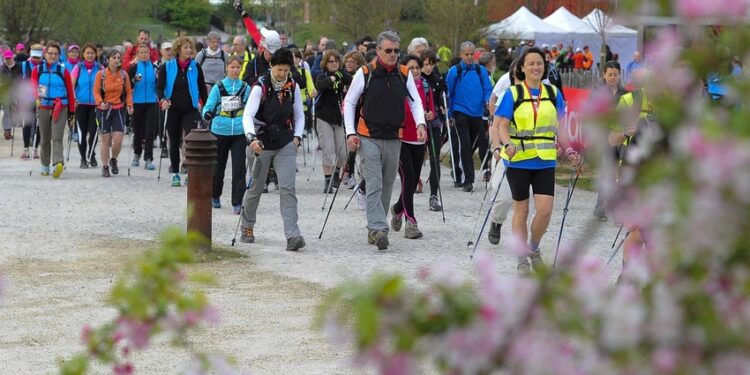 Trail : Une course à travers le zoo de Nantes