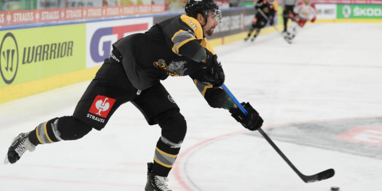 Hockey sur glace : Rouen cartonne en Ligue des champions