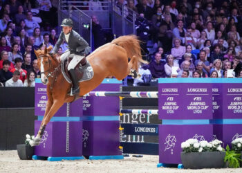 Equitation : Julien Épaillard vainqueur à Madrid