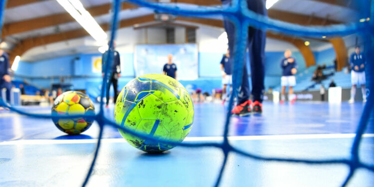 Handball : Dijon, parole à la défense
