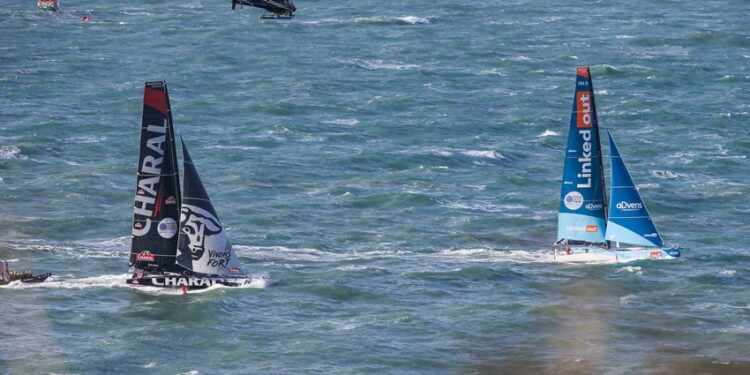 Transat Jacques Vabre : Le Pot-au-noir freine la flotte