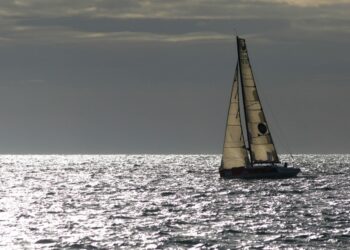 Voile : Virtual Regatta de retour pour la Transat Jacques Vabre