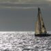 Voile : Virtual Regatta de retour pour la Transat Jacques Vabre