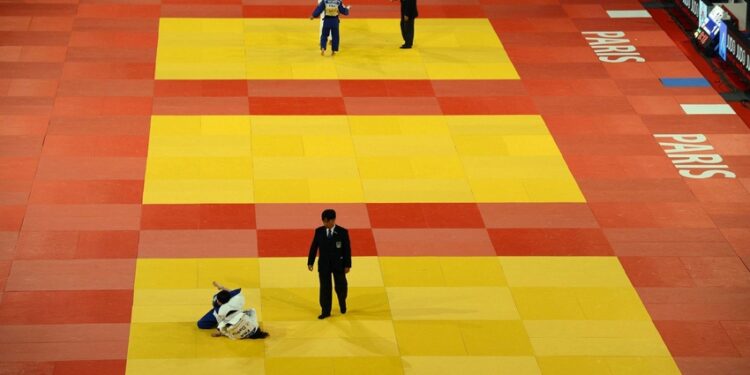 Judo : Du bronze pour les Bleuets