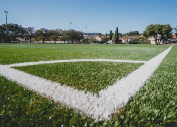 Méditerranée Environnement toujours vert