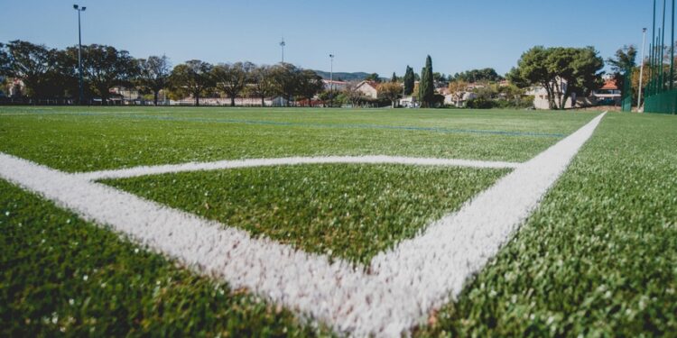 Méditerranée Environnement toujours vert