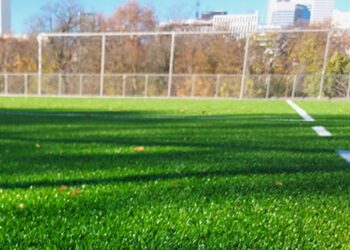 Gazon béni avec Eurofield