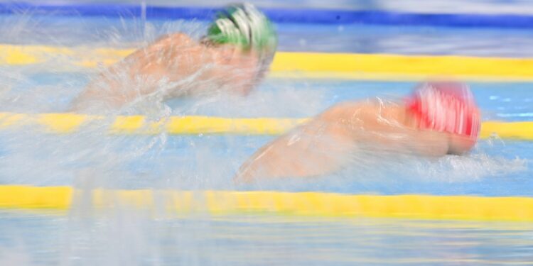 Sport adapté : La France fait bonne figure aux Mondiaux de para-natation