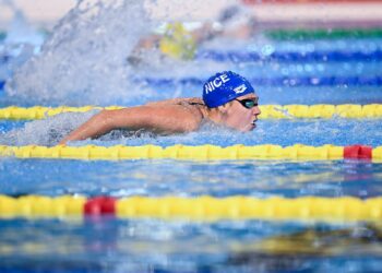 Natation : Les leaders français en forme à Montpellier