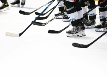 Hockey sur glace : Les Dogs de Cholet dominent la D1