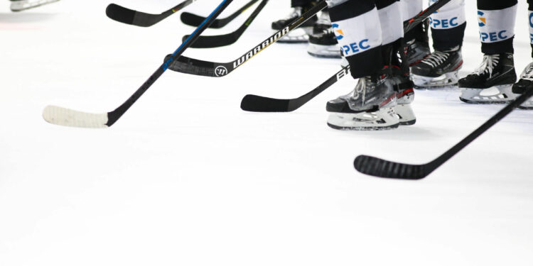 Hockey sur glace : Les Dogs de Cholet dominent la D1