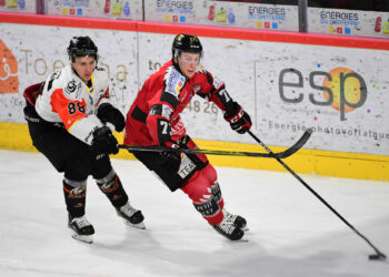 Hockey sur glace : Nice en bonne voie