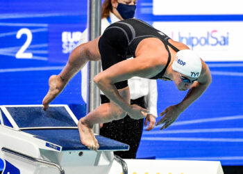 Natation : Les Bleus replongent à Montpellier