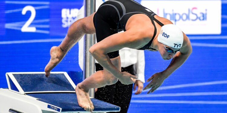 Natation : Les Bleus replongent à Montpellier