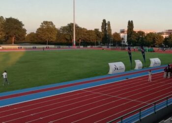 idverde voit la vie en vert